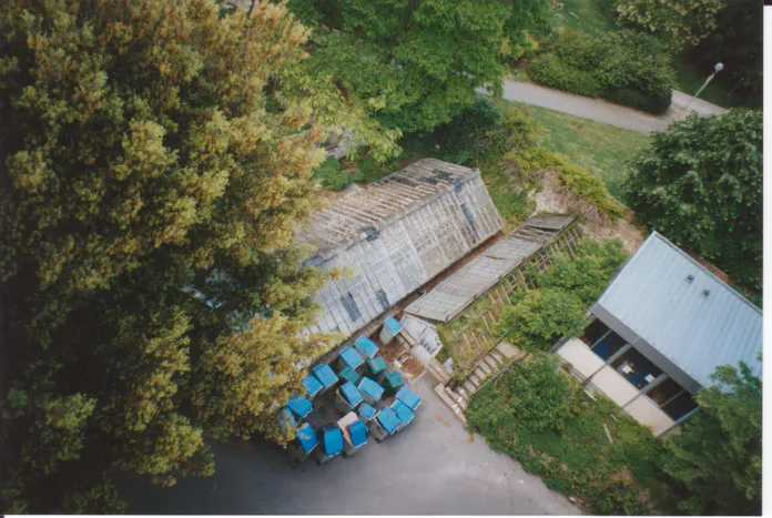 Les serres et la cafétéria en 2022